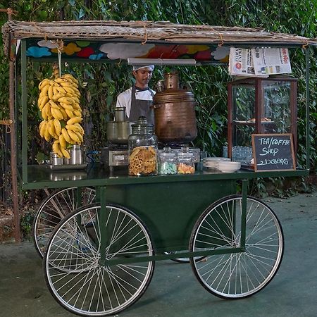 Hotel Cardamom County By Xandari à Thekkady Extérieur photo